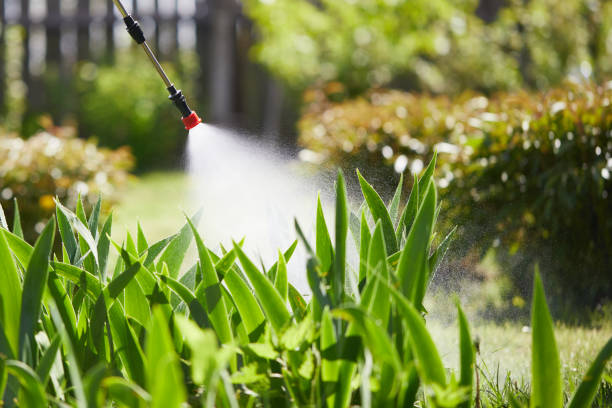 24/7 Emergency Termite Control experts in Mayfield, KY